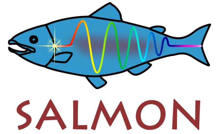 第一原理計算ソフトウェア SALMONのロゴ